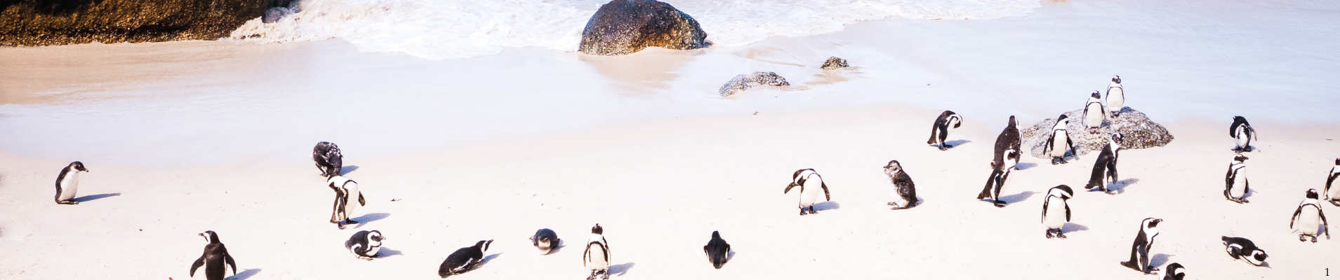 banner-innerbg