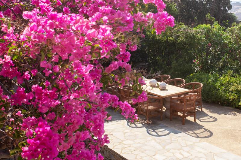 Themis Z Mykonos Resort 