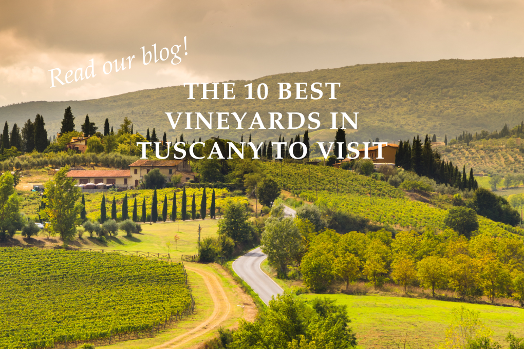 The 10 Best Vineyards in Tuscany to Visit