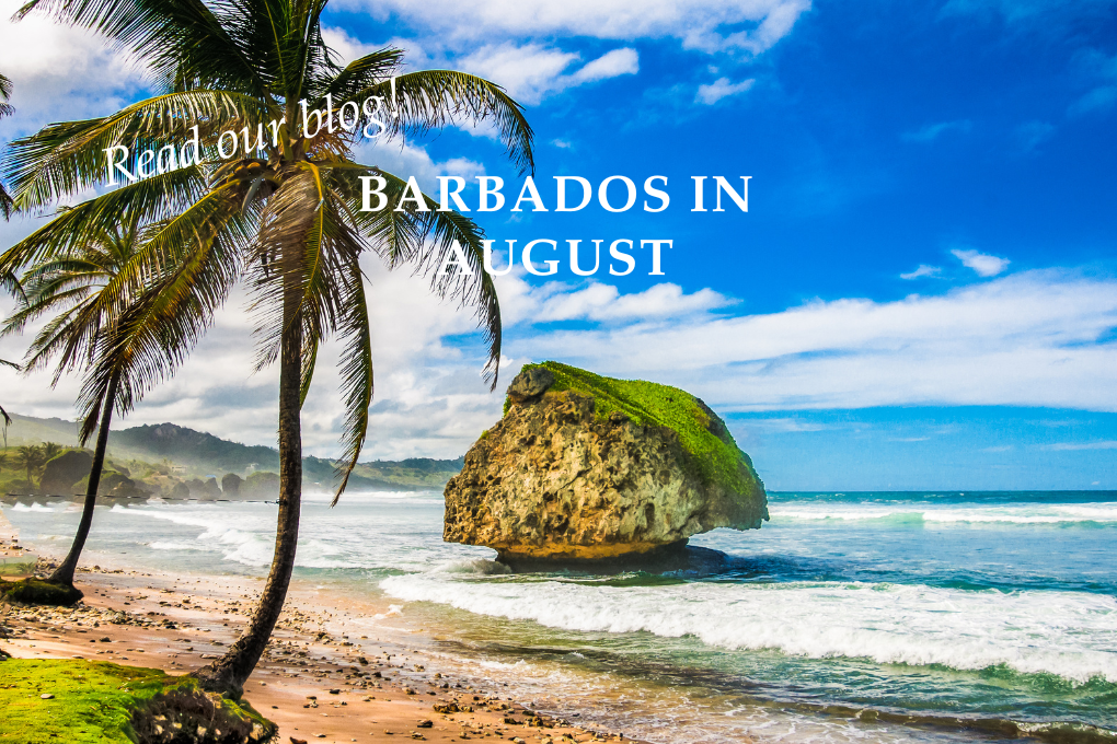 Barbados in August - Blog Post
