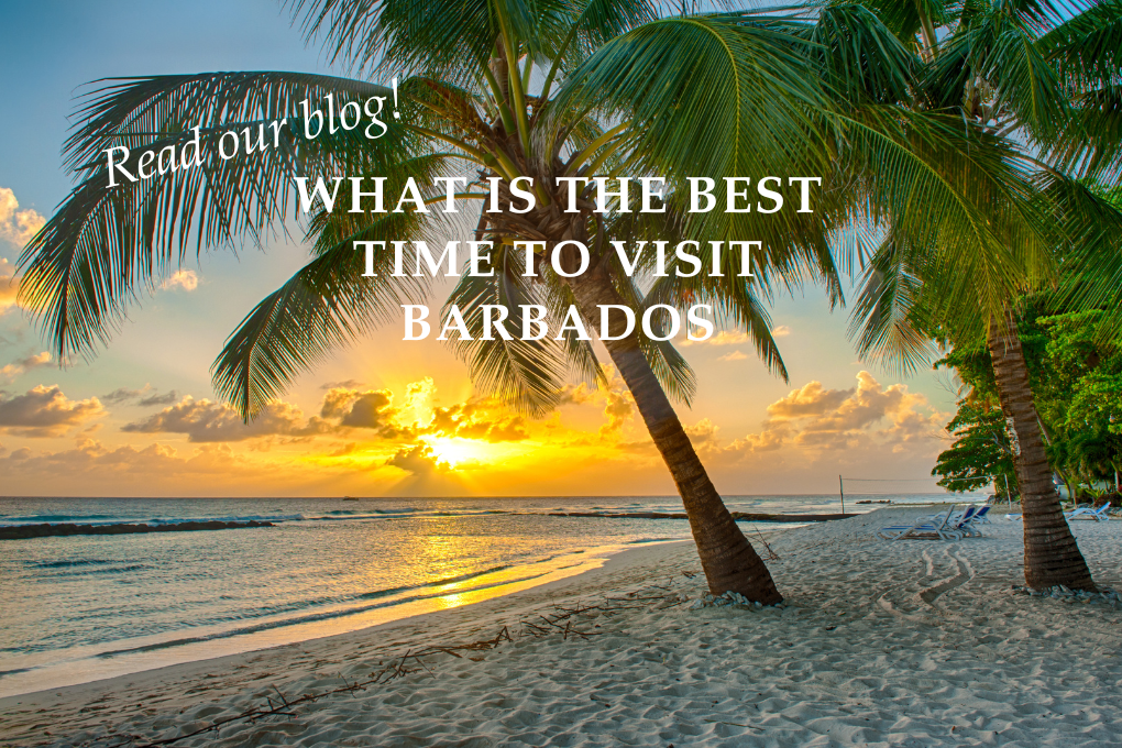 What is The Best Time to Visit Barbados? - Blog Post