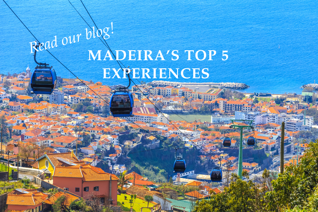 Madeira’s top 5 Experiences - Blog Post