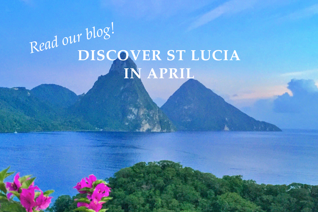 St Lucia in April - Blog Post
