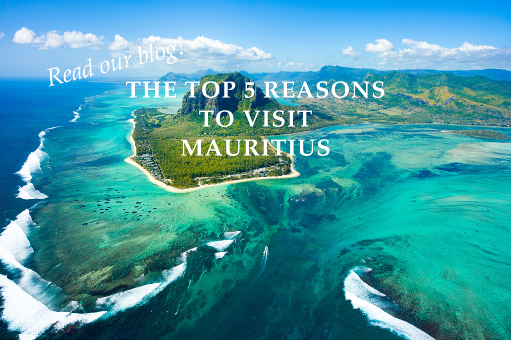 The Top 5 Reasons To Visit Mauritius 
