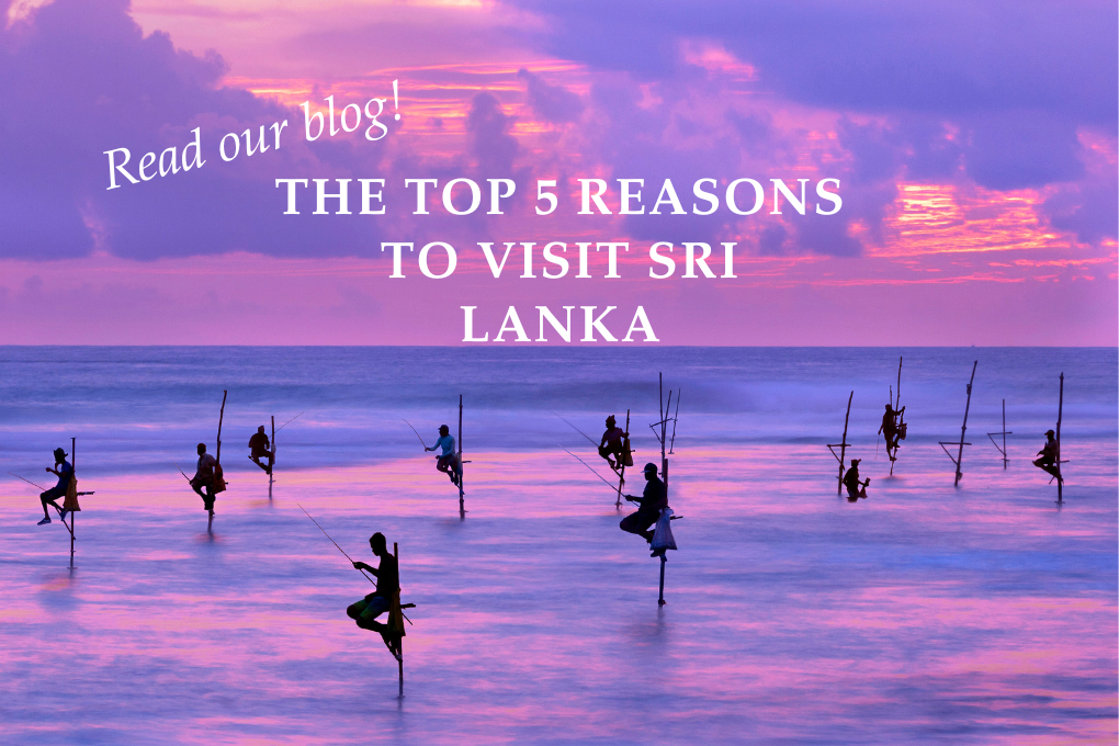 The Top 5 Reasons to Visit Sri Lanka 