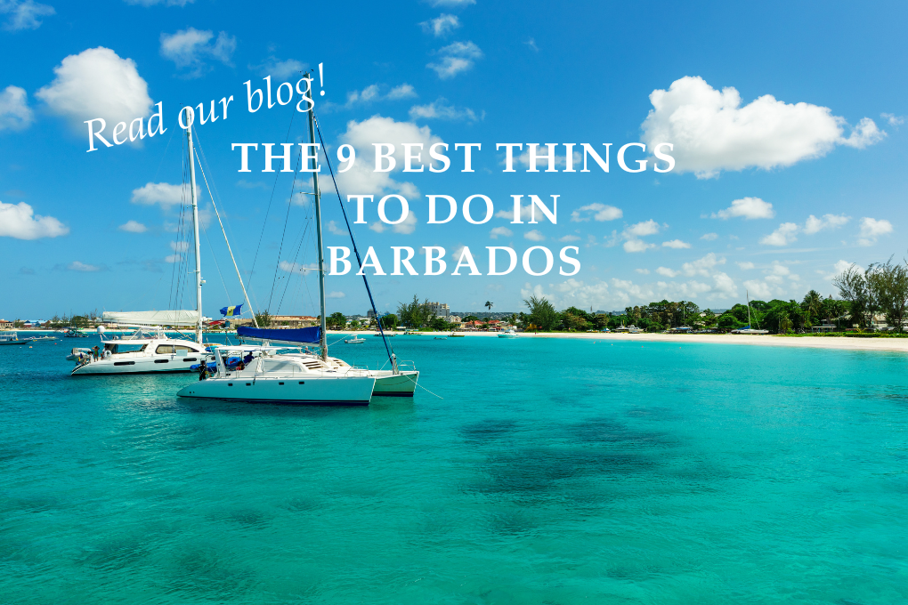 The 9 Best Things to Do in Barbados - Blog Post