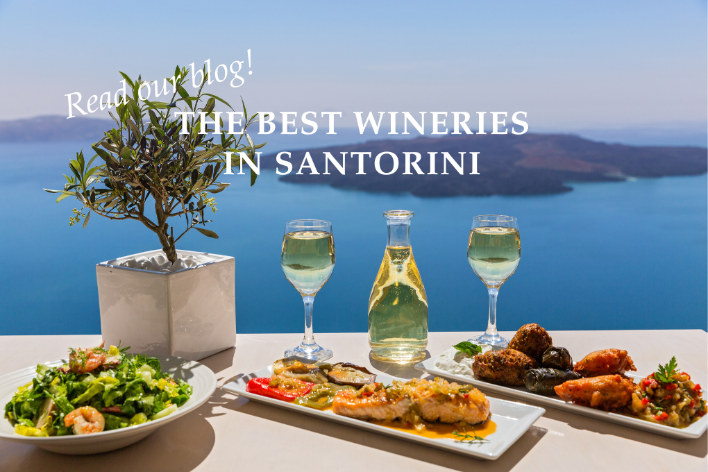 The Best Wineries in Santorini - Blog Post