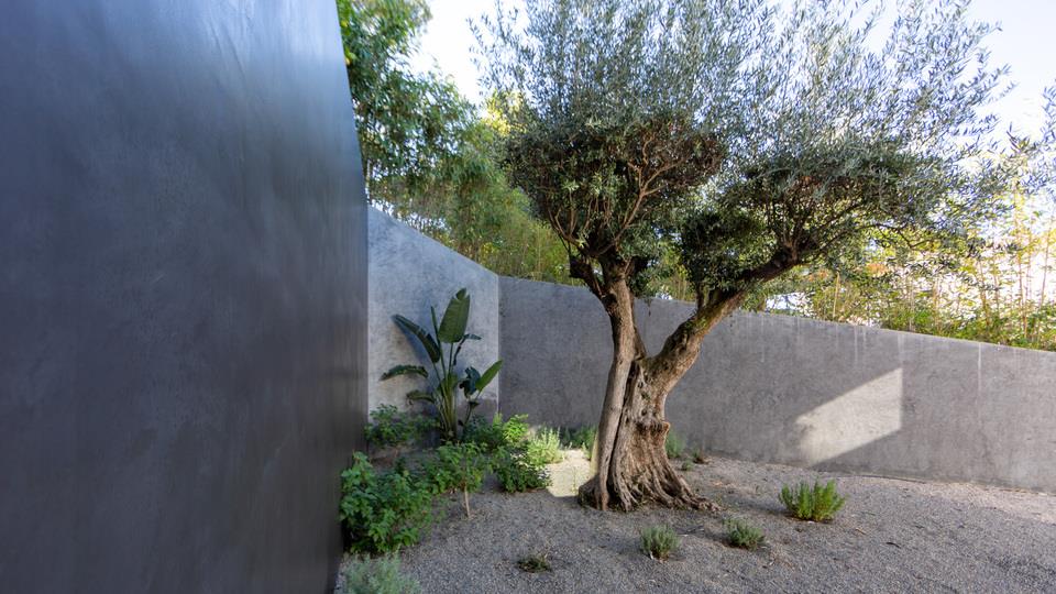 Villa Demi