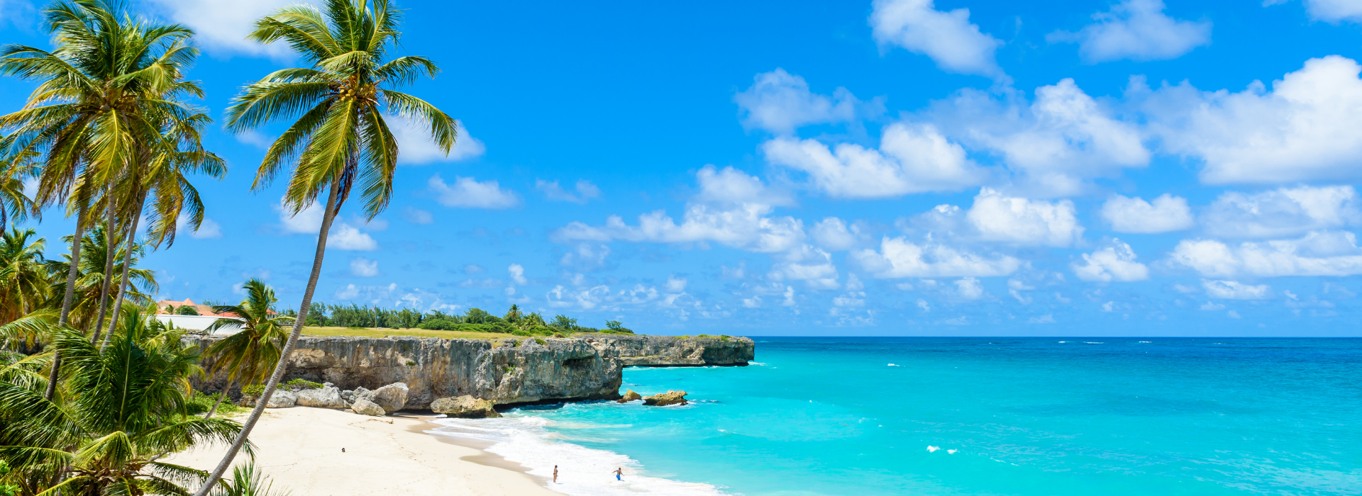 banner-innerbg