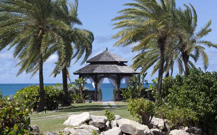 The Cove Suites and Penthouses at Blue Waters