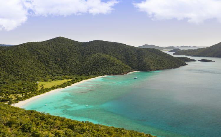 Guana Island