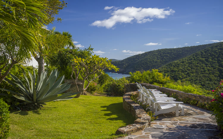 Guana Island