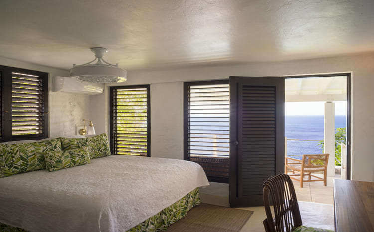 Guana Island