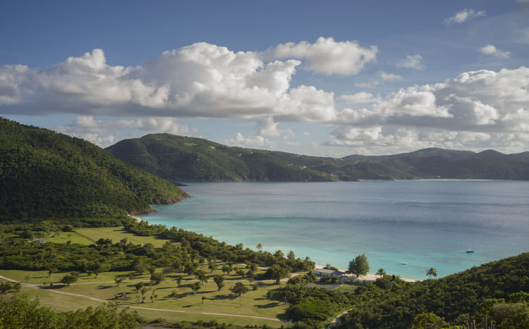 Guana Island
