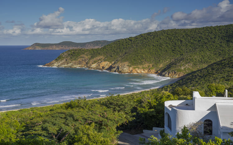 Guana Island