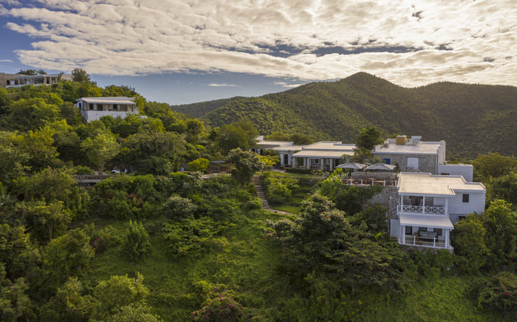 Guana Island