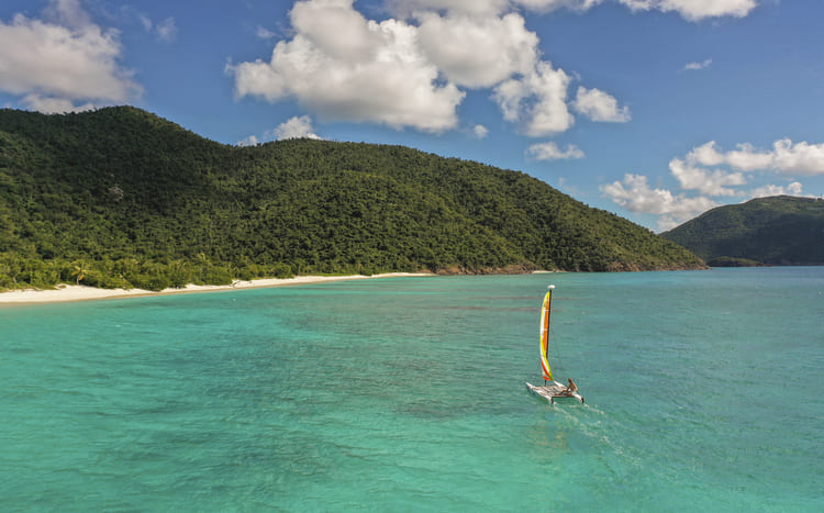Guana Island