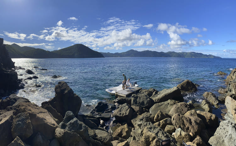 Guana Island