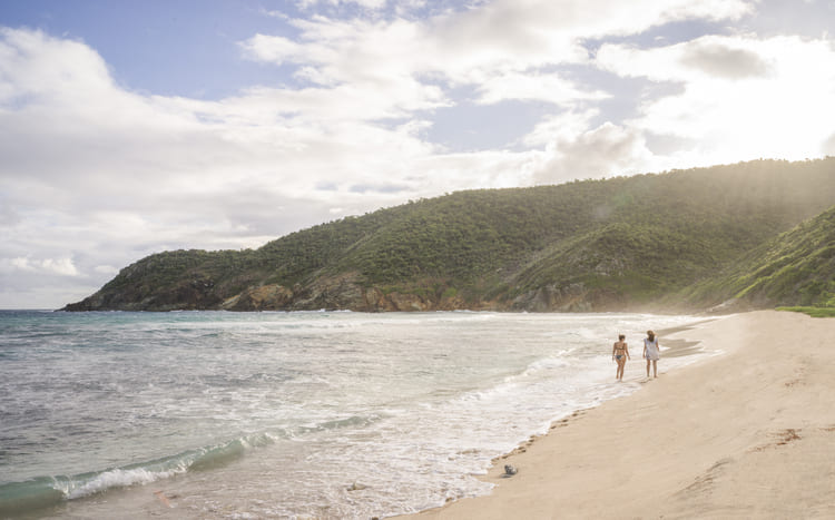 Guana Island