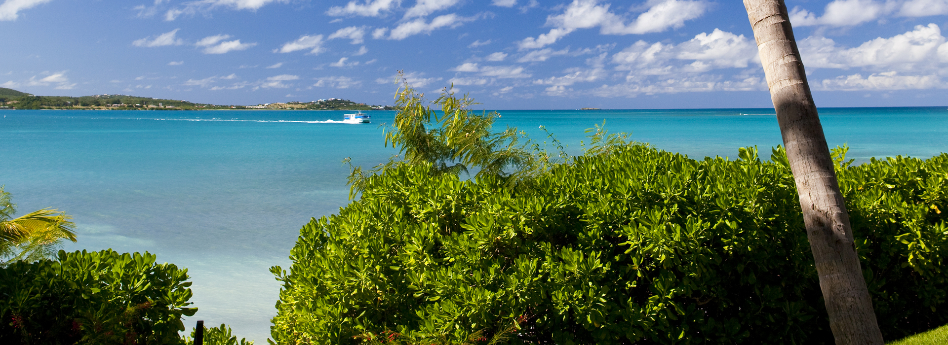 banner-innerbg