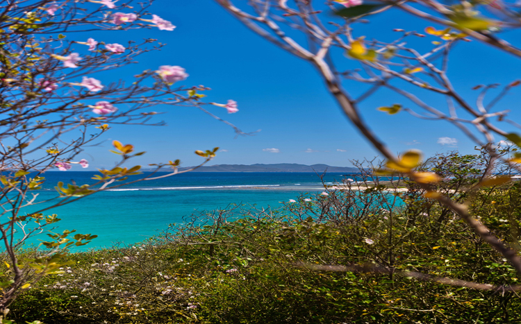 Zenaida Beach and Tennis Estate