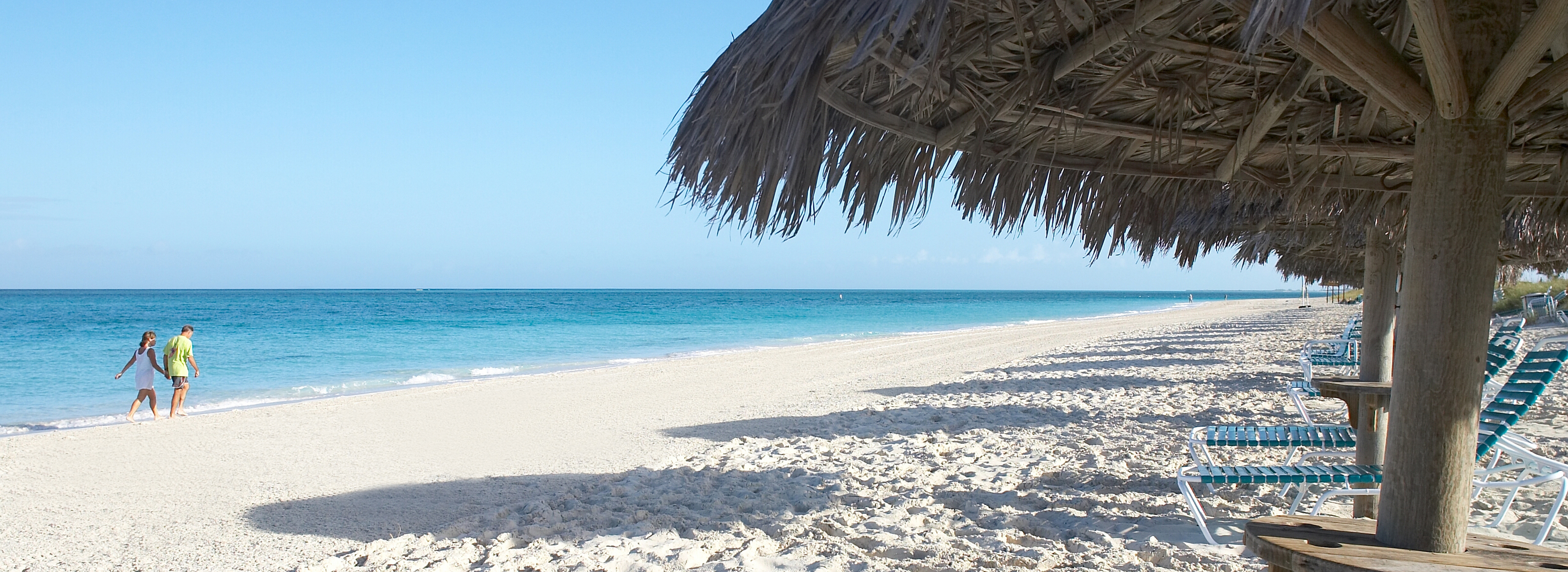 banner-innerbg