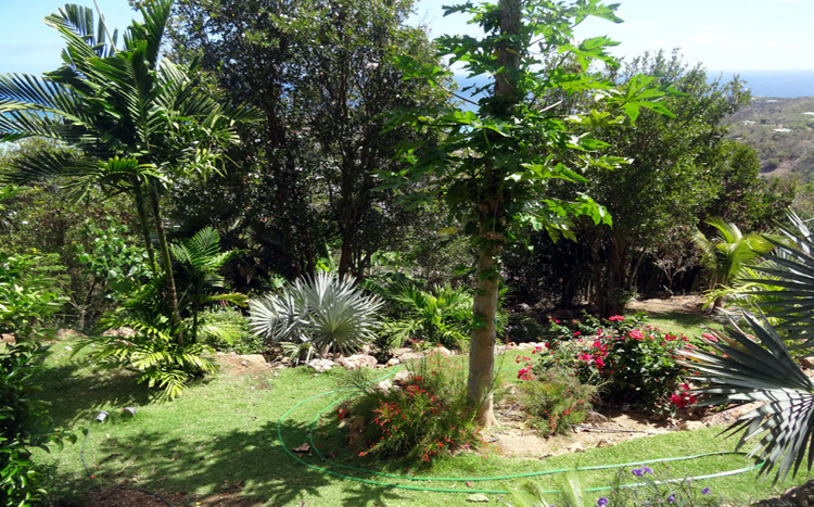 Casa Azul St Barths