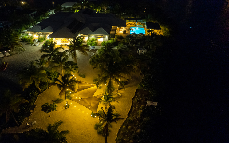 Palm Point