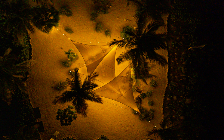 Palm Point