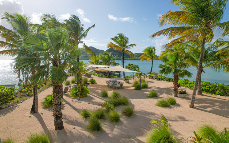 Palm Point