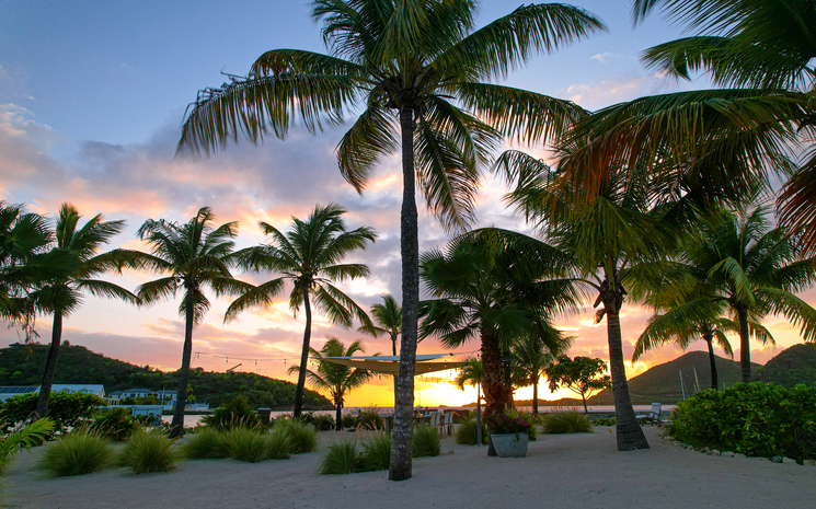 Palm Point