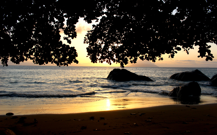 STORY Seychelles