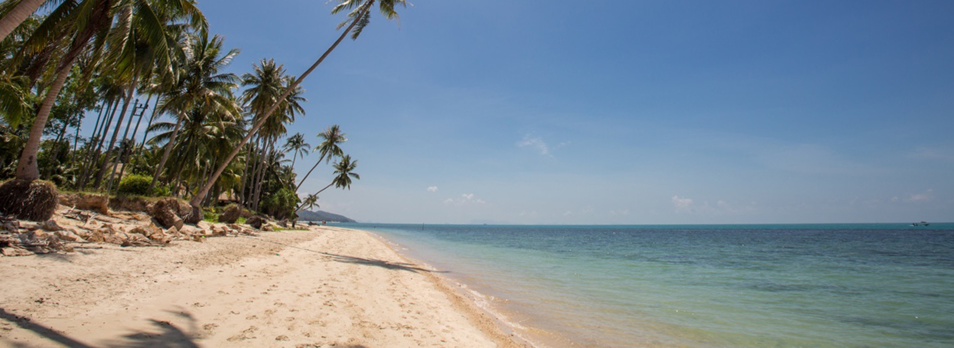 banner-innerbg