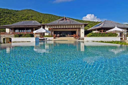 Silver Turtle at Canouan Estate