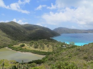The Villa Collection Guana Island view