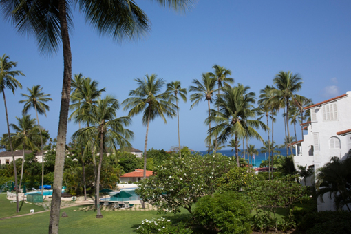 banner-innerbg