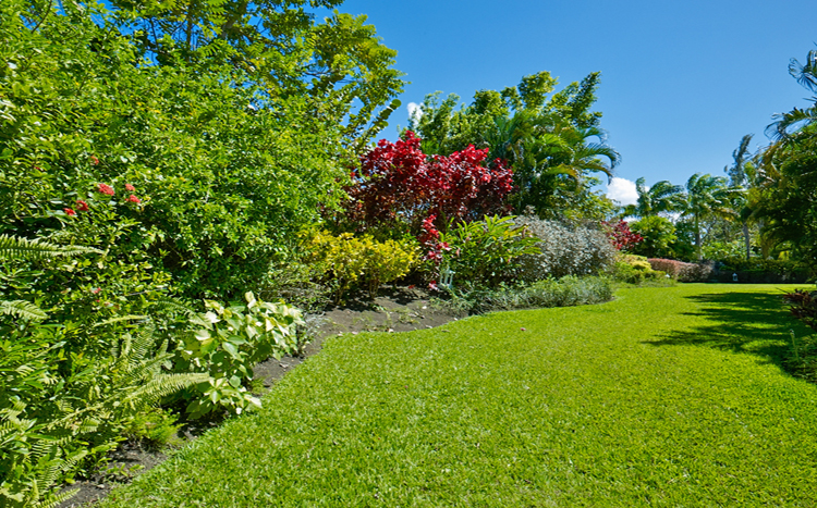 Aliseo Sandy Lane