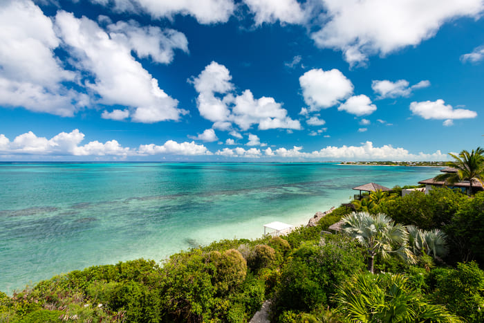 Reef Tides