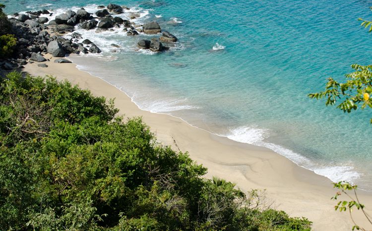 Turtle Bay House