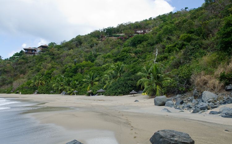 Turtle Bay House