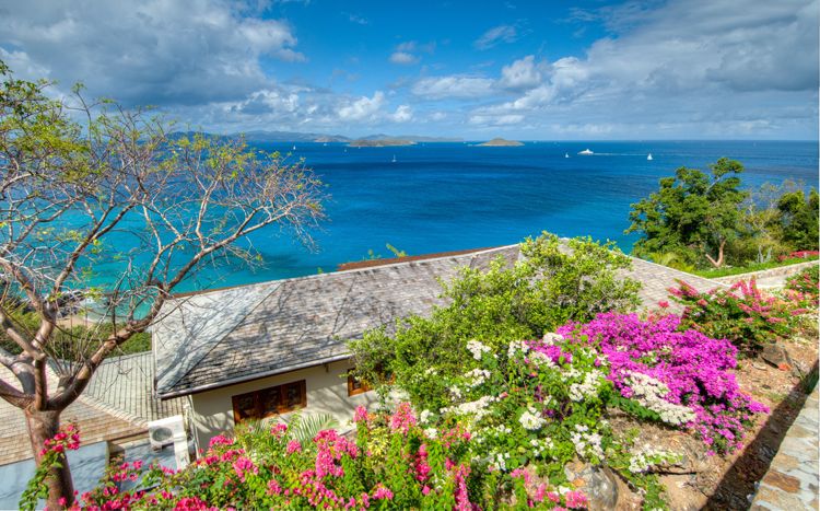 Turtle Bay House