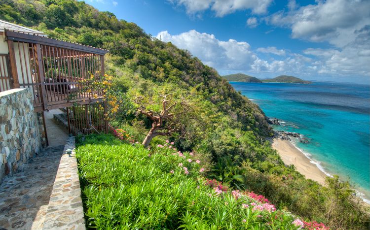 Turtle Bay House