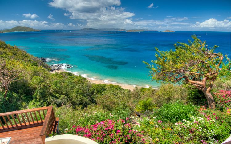Turtle Bay House
