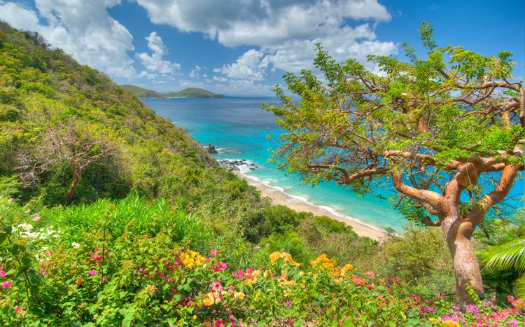 Turtle Bay House