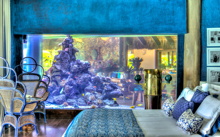 Sirena Blue