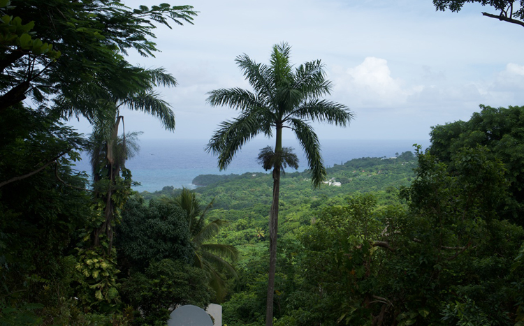Panorama Villa at Geejam Hotel