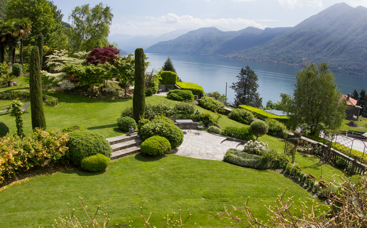 Vista Lago