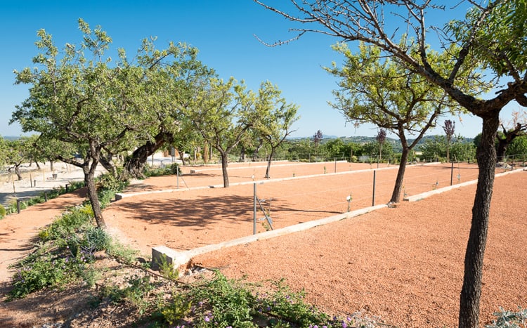 Villa Dante 2
