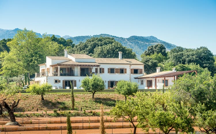 Villa Dante 1