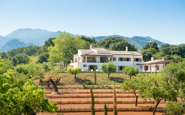 Villa Dante 1